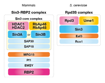 reFig-2.png