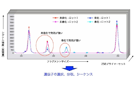 Fig.10.jpg