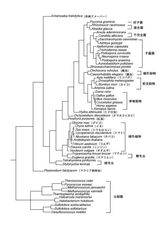 EF1-Fig1.jpg