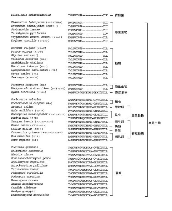 EF1-Fig2.jpg