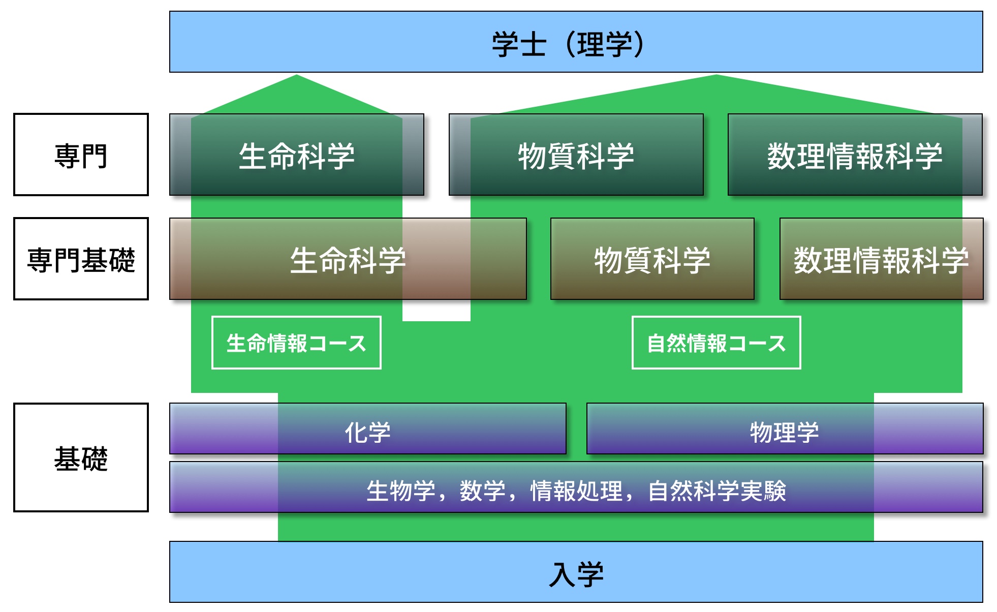 標準的な履修フロー