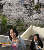 hanami1.gif